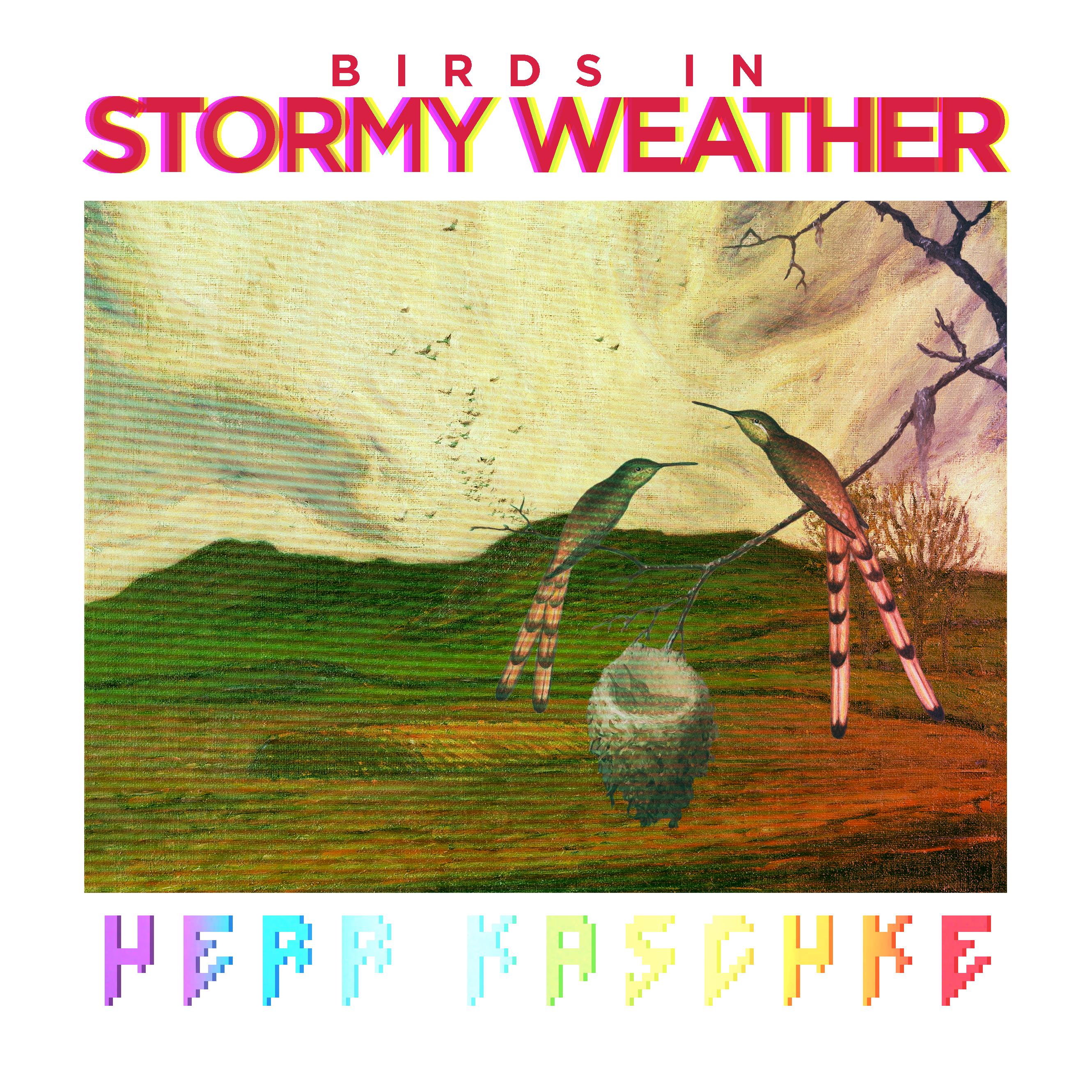 Birds in stormy weather